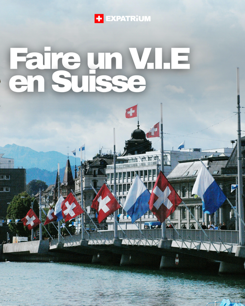 Faire un VIE en Suisse